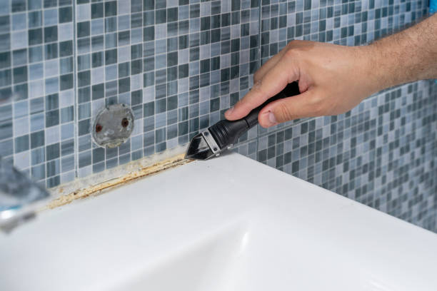 Best Localized Mold Remediation (e.g., coastal areas, humid climates) in Woodstock, IL