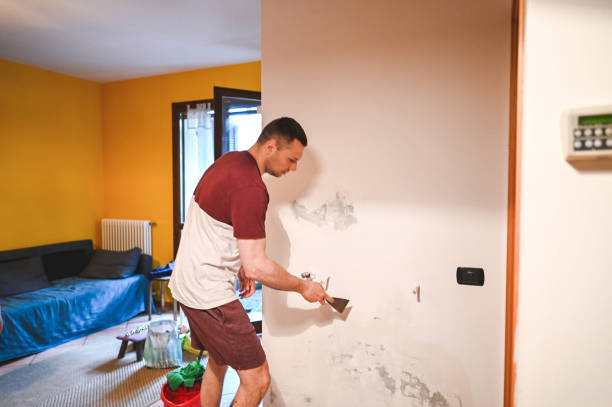 Best Mold Testing and Inspection Services in Woodstock, IL